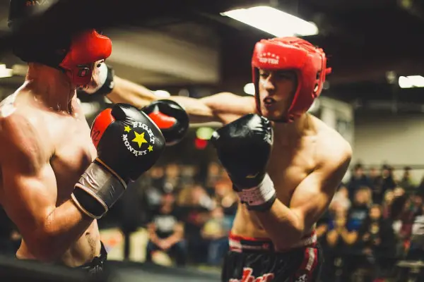 Amazing Free Sports Design Assets for Designers: In Action Boxing Photograph